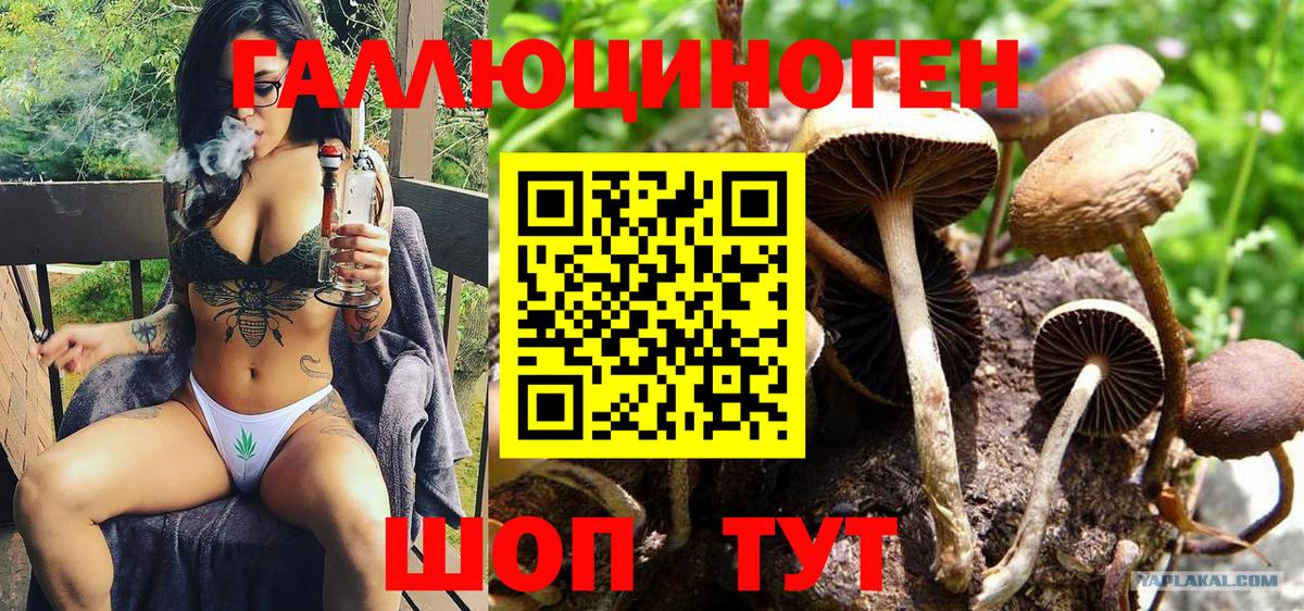Галлюциногенные грибы Psilocybine cubensis Изобильный